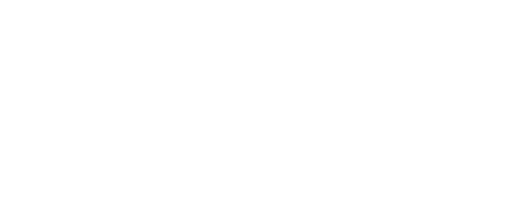 Patriot Institute